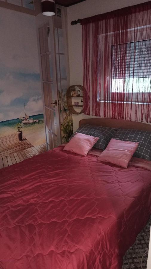 Apartman Palic Libero Extérieur photo